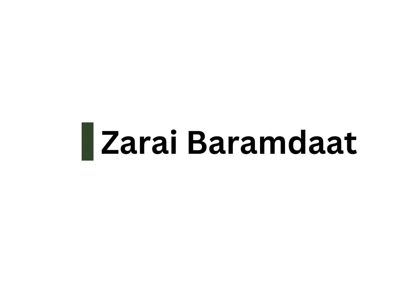 Zaray-e-Baramdaad
